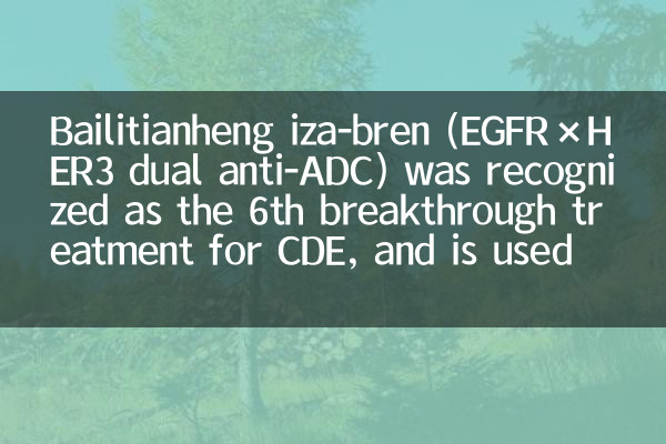 Bailitianheng Iza-Bren (EGFR × HER3 Dual Anti-ADC) fue reconocido como el sexto tratamiento innovador para CDE, y se usa para el cáncer de ovario recurrente resistente al platino, etc.