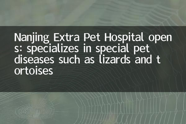 Nanjing Extra Pet Hospital abre: se especializa en enfermedades especiales de mascotas como lagartos y tortugas