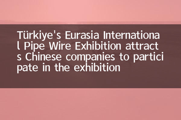 La exposición internacional de pipa internacional de Türkiye's Eurasia atrae a las empresas chinas a participar en la exposición